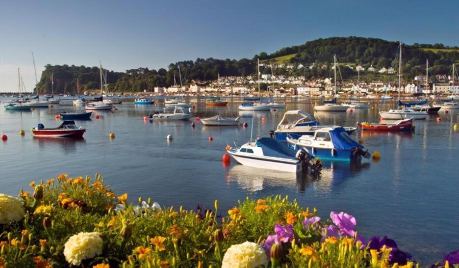 Sunnybrook - A Luxurious Carbon Neutral House Close To Beach, Shaldon Exteriér fotografie