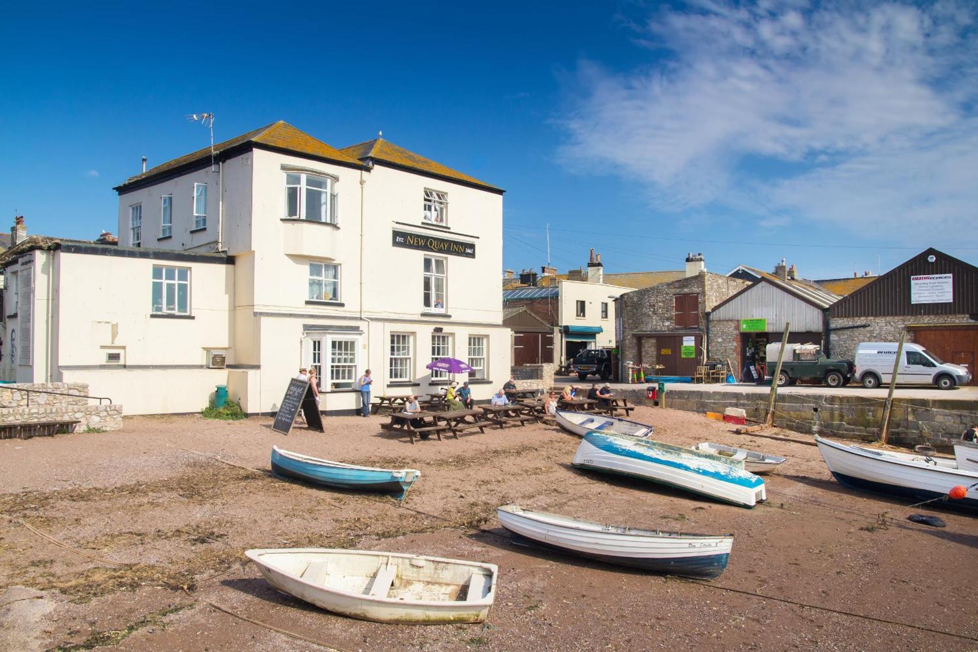 Sunnybrook - A Luxurious Carbon Neutral House Close To Beach, Shaldon Exteriér fotografie