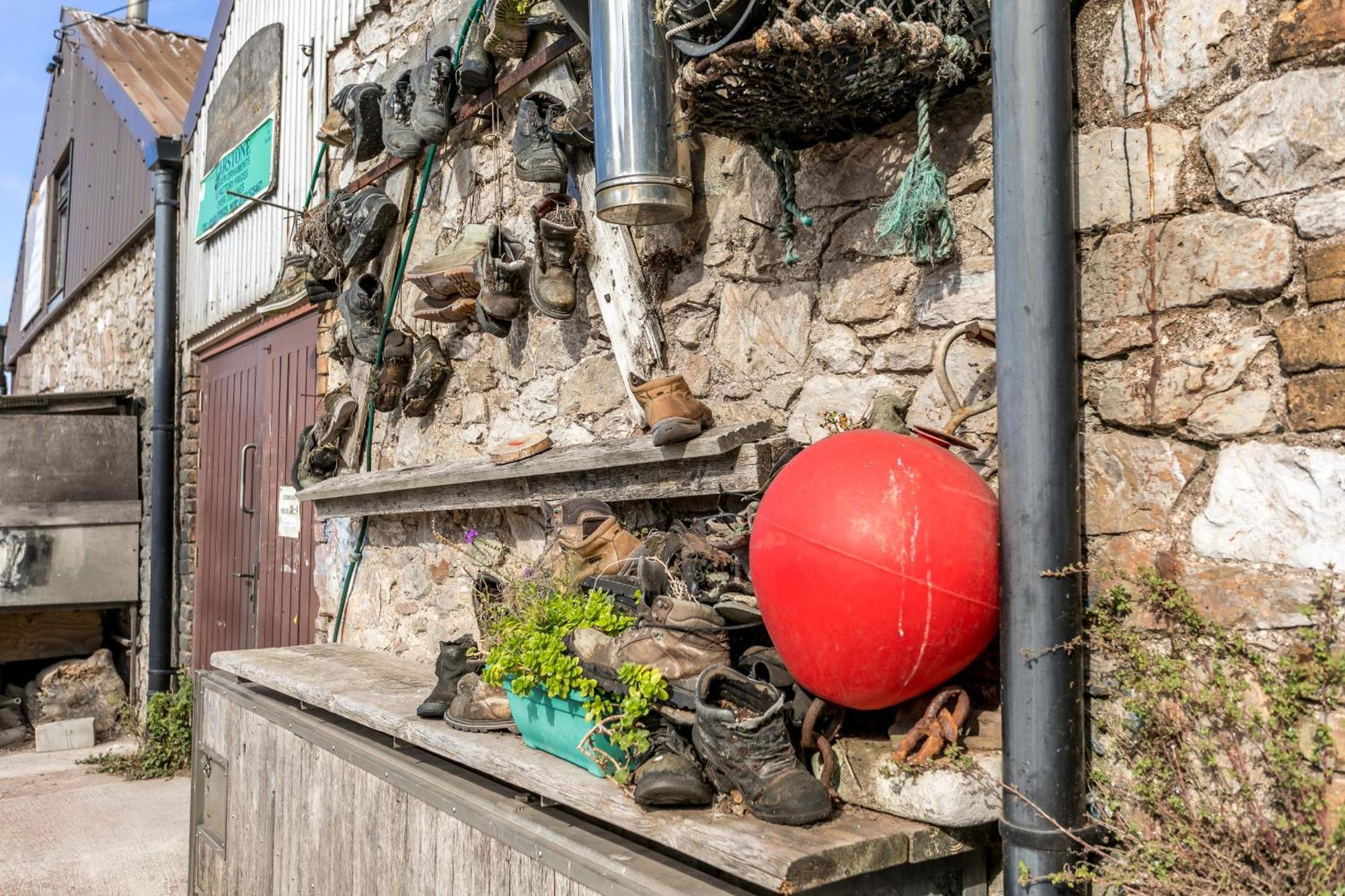 Sunnybrook - A Luxurious Carbon Neutral House Close To Beach, Shaldon Exteriér fotografie