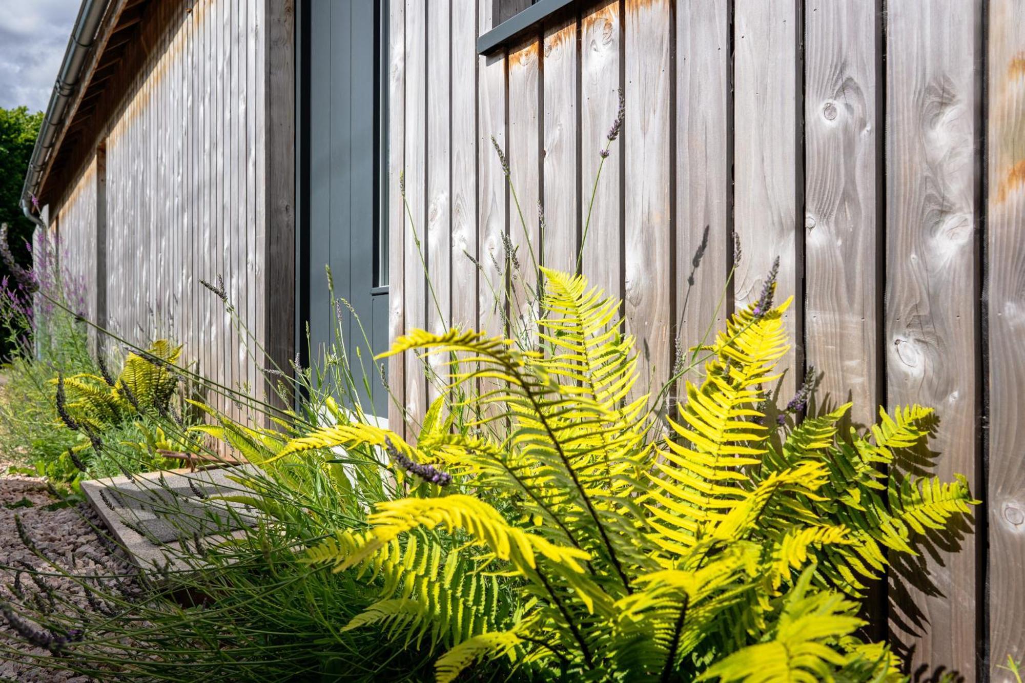 Sunnybrook - A Luxurious Carbon Neutral House Close To Beach, Shaldon Exteriér fotografie